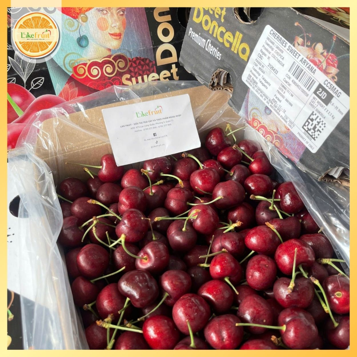 Cherry Chile 2JD – Siêu Giòn, Ngọt Đậm, Tươi Ngon Chuẩn Đầu Mùa