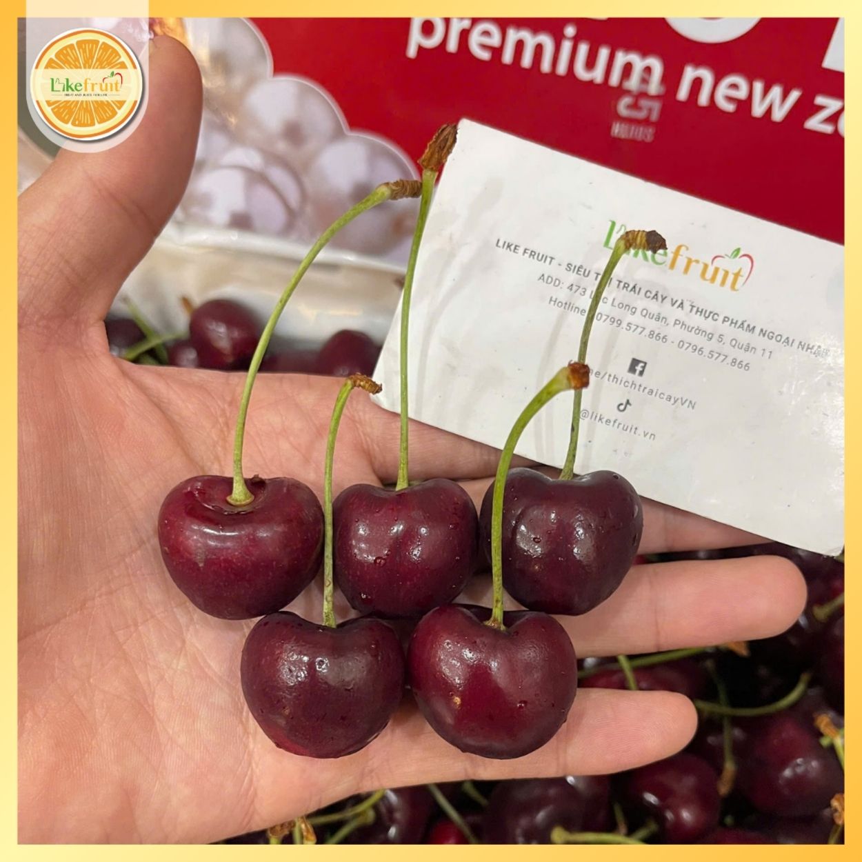 Cherry New Zealand Red Pearl Size 26–28 – Trái To Đều, Giòn Ngọt, Hàng Cao Cấp Tại Like Fruit