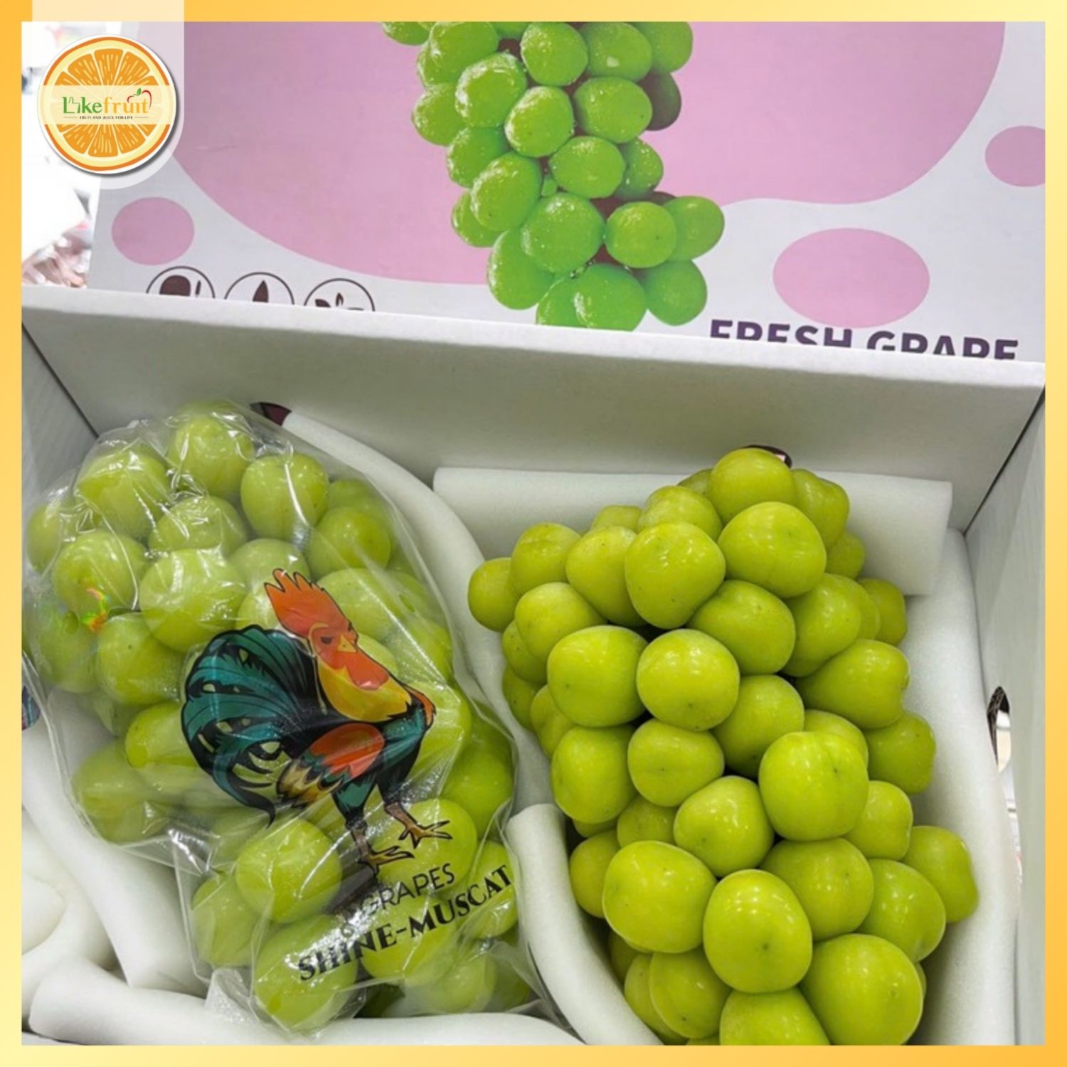 Nho Mẫu Đơn Shine Muscat – Thùng 2 Chùm Cao Cấp