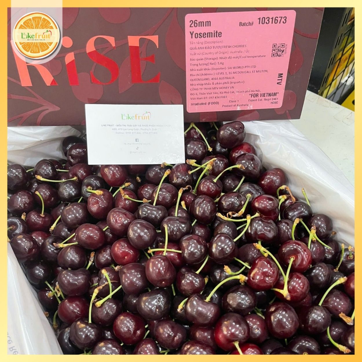 Cherry Úc RISE Size lớn – Trái Tươi Giòn Mọng, Ngọt Sâu Chuẩn Chất Lượng Cao Cấp