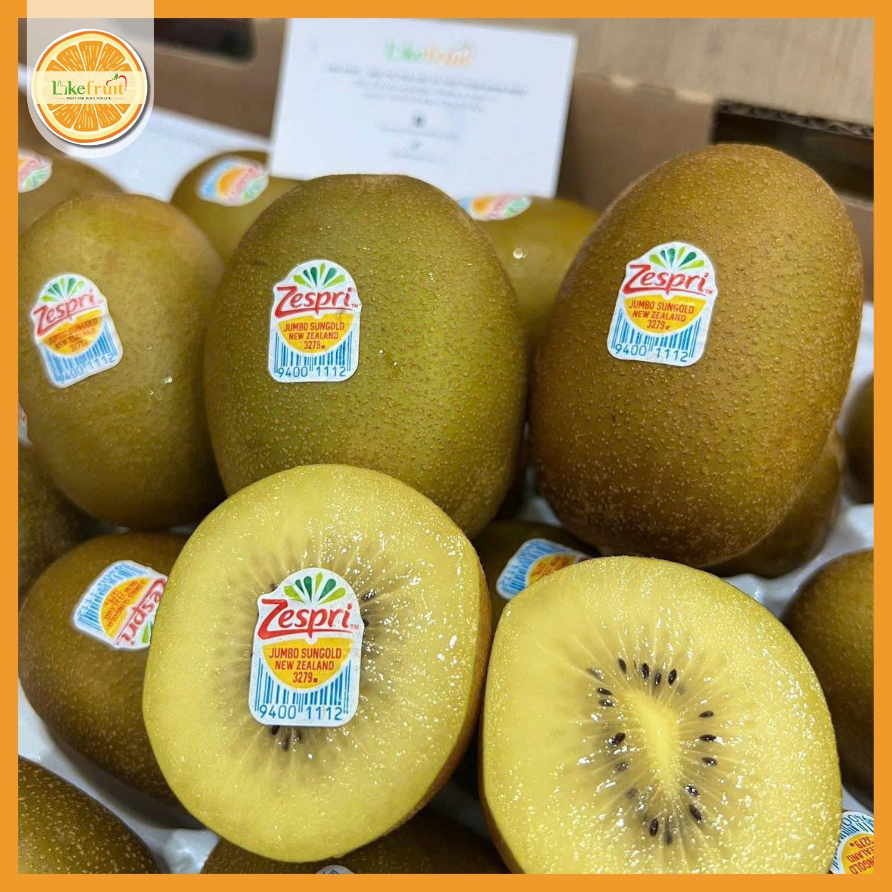 KIWI VÀNG NewZealand S25