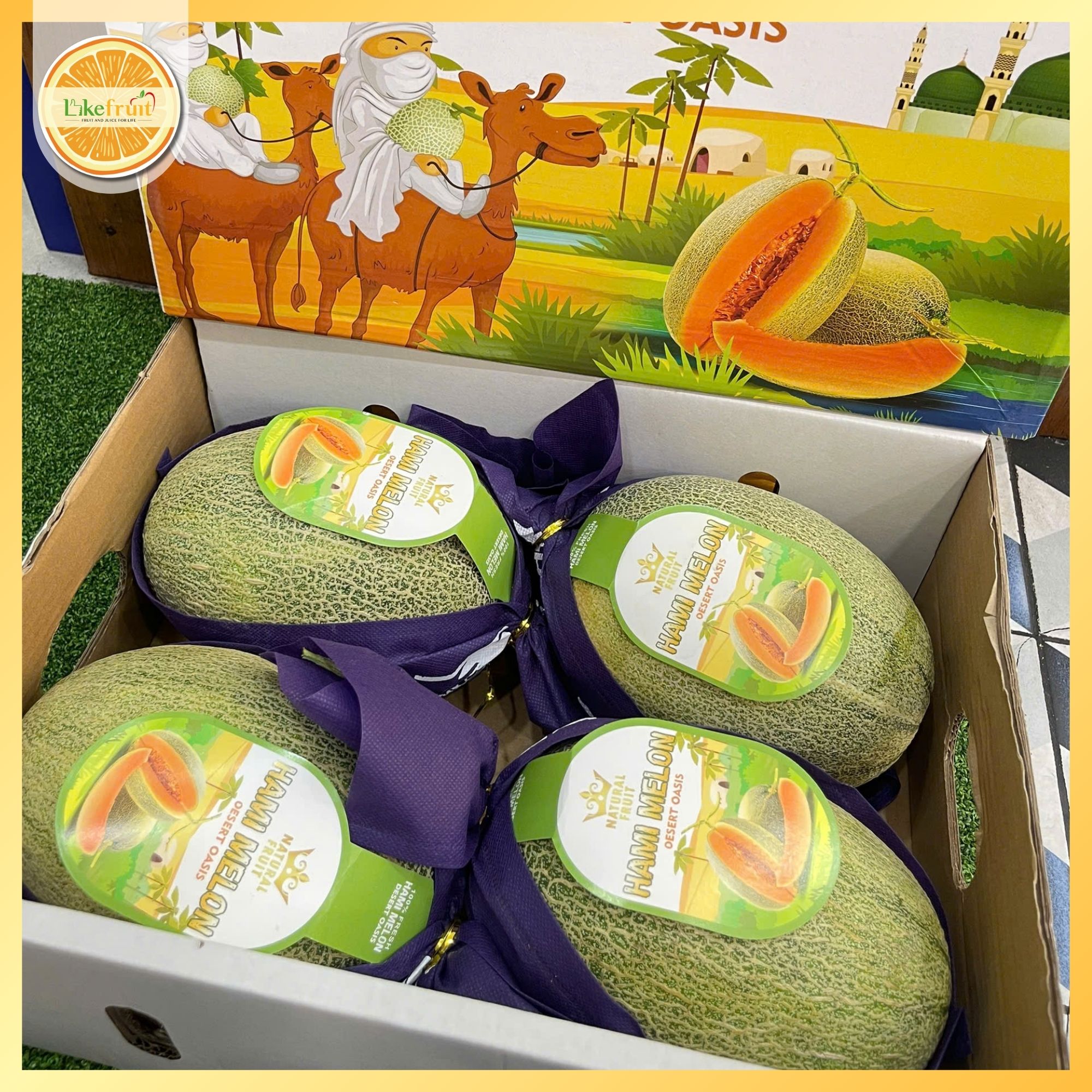 Dưa Lưới Hami – Ngọt Thanh Tự Nhiên, Thịt Cam Mọng Nước