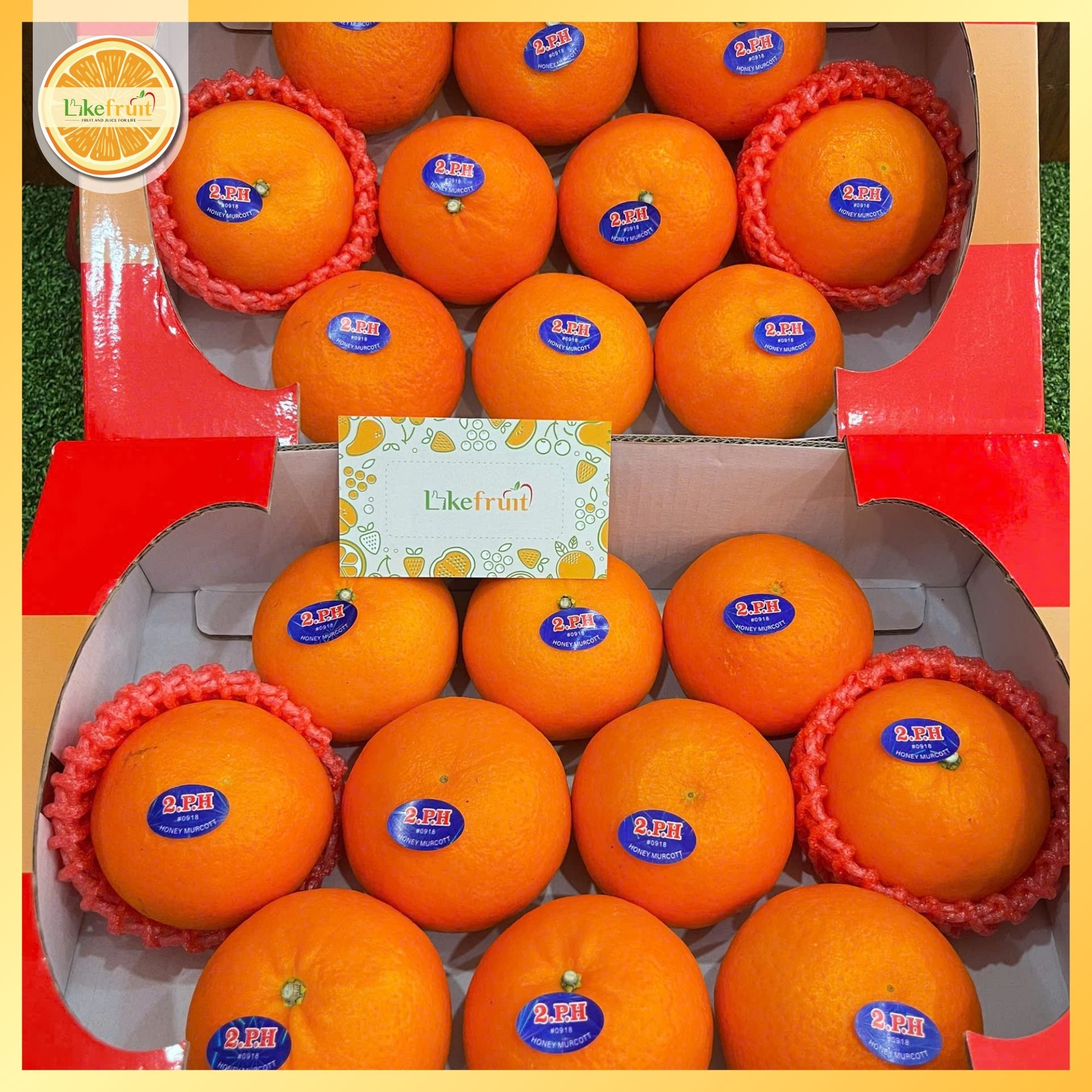 Quýt Quà Tặng 2 Tầng (Thùng 3kg) – Trái Đều Đẹp, Ngọt Thanh, Sang Trọng Biếu Tặng