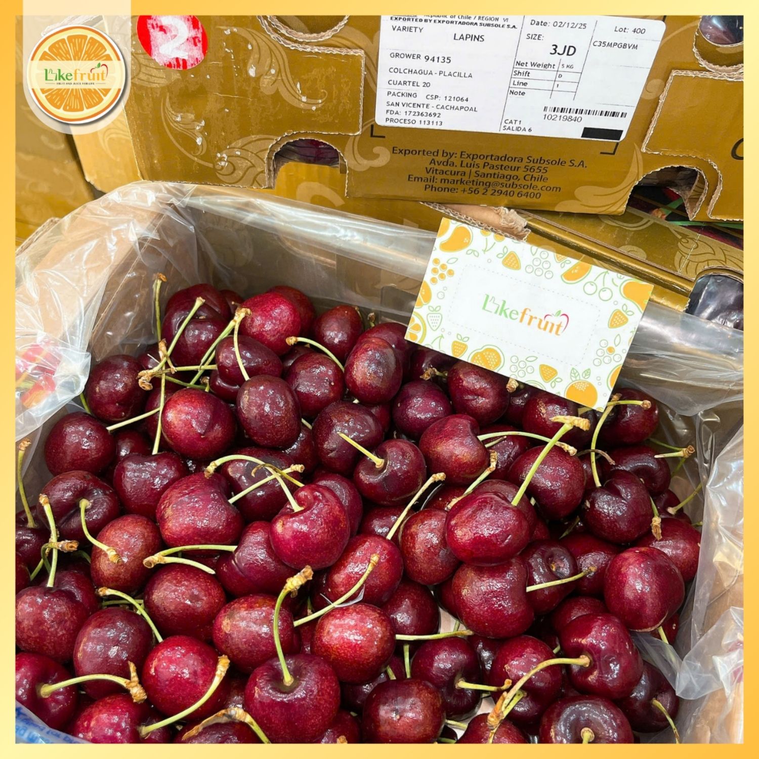 Cherry Chile Golden Subsole 3JD (xách 2.5kg) – Trái To Giòn Ngọt Chuẩn Xuất Khẩu