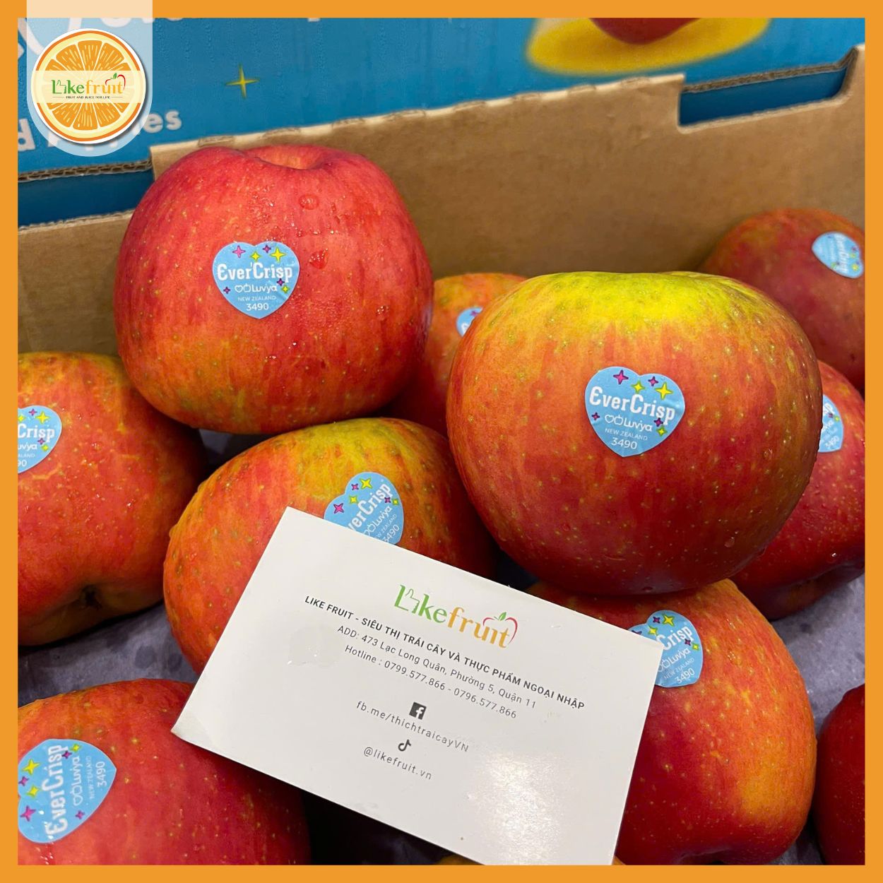 Táo evercrisp New Zealand S35