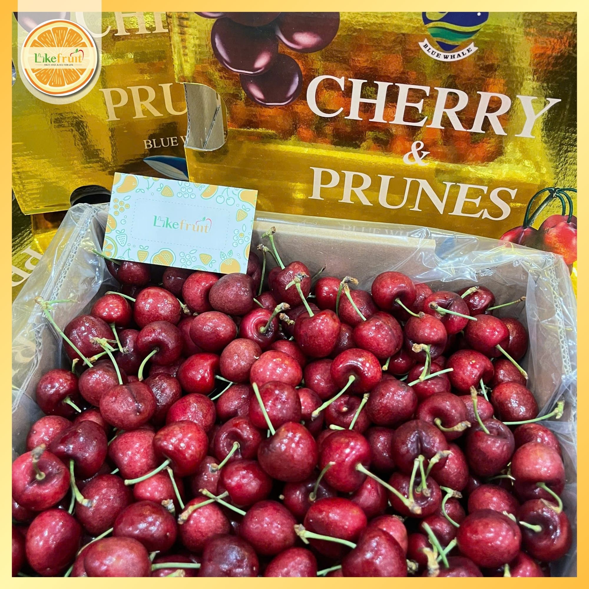 CHERRY CHILE SIZE 1J PRUNES (THÙNG 2.5KG) – GIÒN NGỌT TỰ NHIÊN, TRÁI ĐỀU ĐẸP