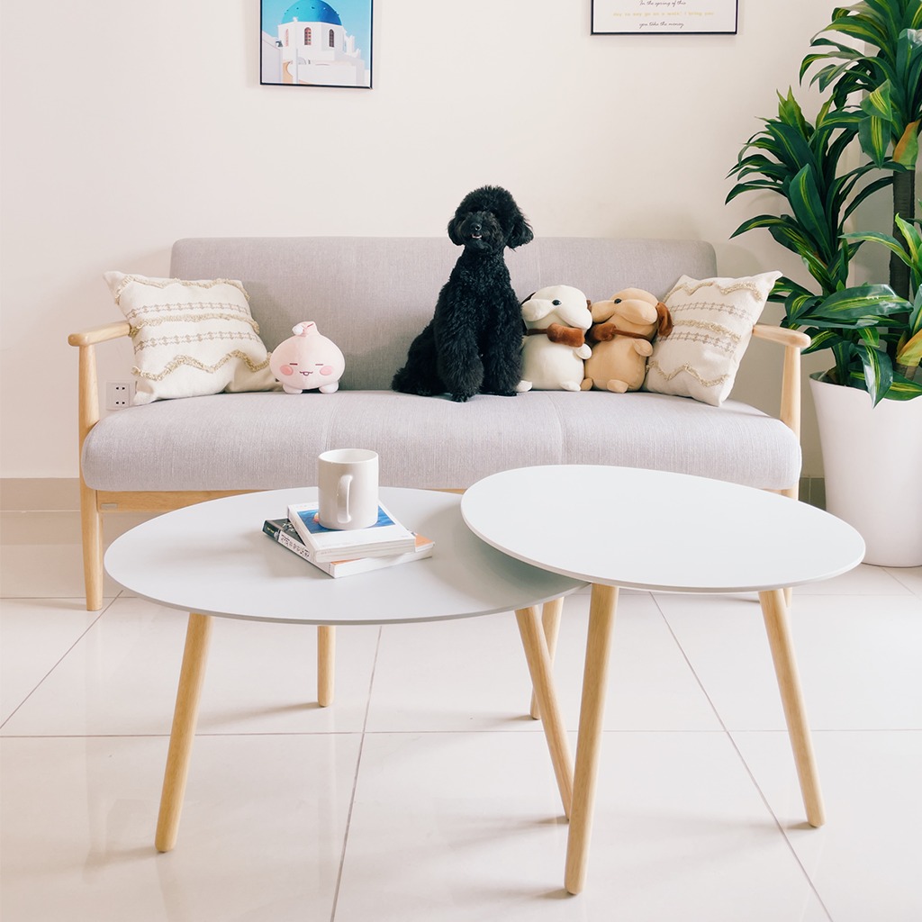 Bàn Sofa – Bàn Cafe – Bàn Trà Gỗ Cao Su Trắng