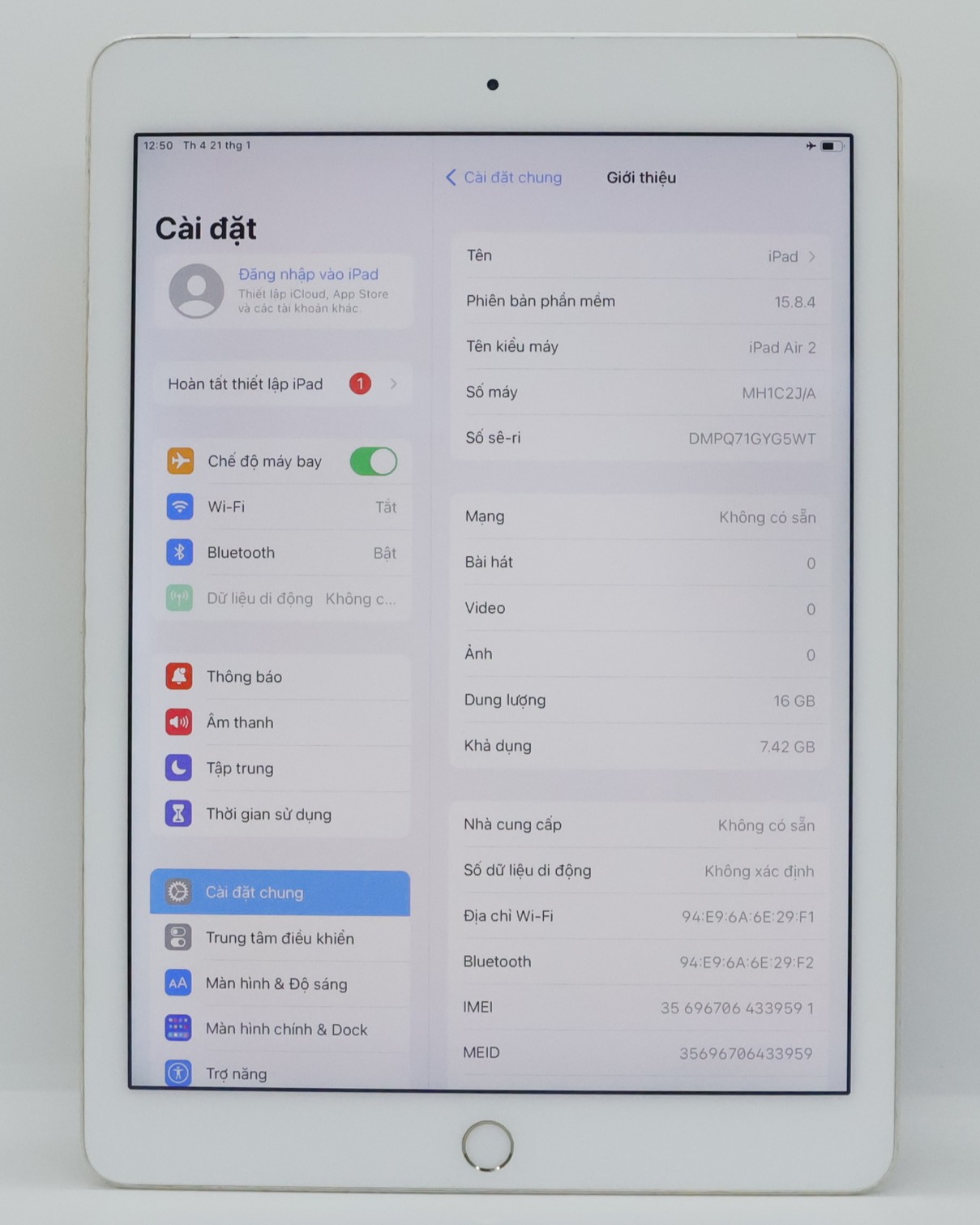 iPad Air 2 16GB Gold(Xước)