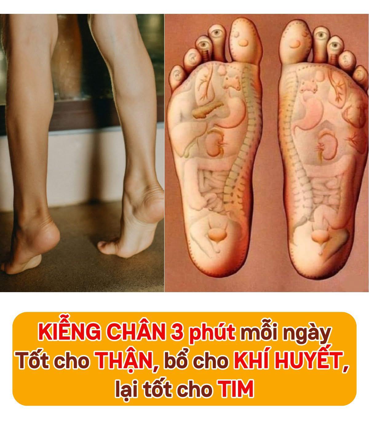 3 PHÚT KIỄNG CHÂN MỖI NGÀY – DƯỠNG THẬN, TĂNG KHÍ HUYẾT, CẢI THIỆN SỨC KHỎE TOÀN DIỆN!