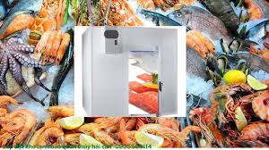 Giải Pháp Bảo Quản Lưu Trữ Thực Phẩm,Đá Viên,Nông Hải Sản Trong Kho Lạnh 1 Cách Tốt Nhất