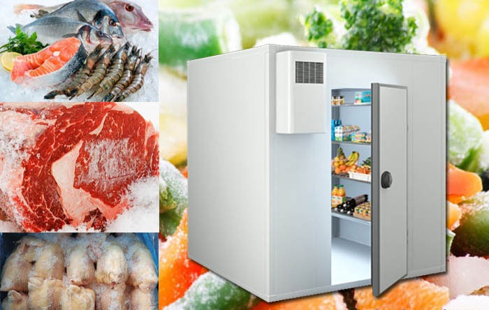 Trong Kinh Doanh Nhà Hàng Để Lưu Trữ Thực Phẩm Tươi Ngon Nhất Lựa Chọn Kho Lạnh Bảo Quản Là Sự Ưu Tiên Hàng Đầu