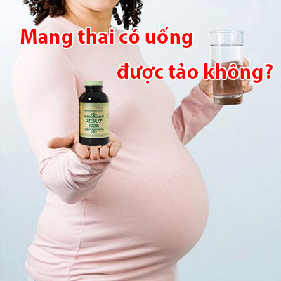 Mang Thai Có Uống Được Tảo Không? Tảo Spirulina Dành Cho Bà Bầu