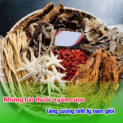 Top 10+ Những Bài Thuốc Ngâm Rượu Tăng Cường Sinh Lý Nam Giới Hiệu Quả