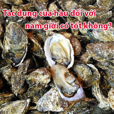Những Tác Dụng Của Hàu Đối Với Nam Giới Có Tốt Không?