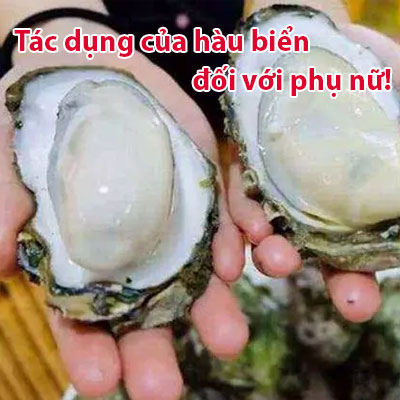Ăn Hàu Nhiều Có Tốt Không? 6 Tác Dụng Của Hàu Đối Với Phụ Nữ