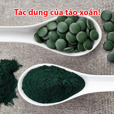 Những Tác Dụng Của Tảo Xoắn Nhật Bản Spirulina Mà Bạn Nên Biết!