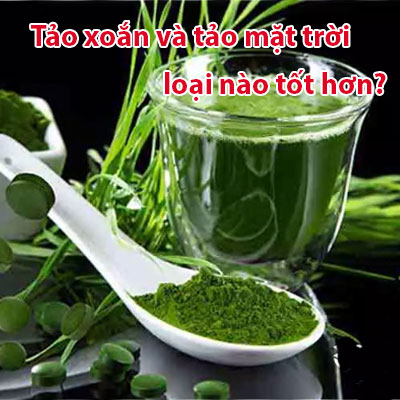 Tảo Xoắn Và Tảo Mặt Trời Loại Nào Tốt Hơn?