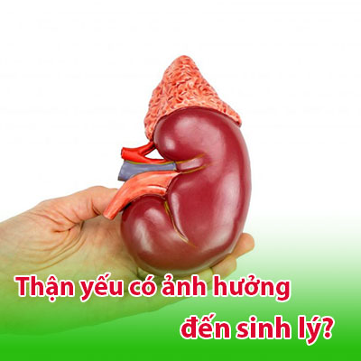 Bị Thận Yếu Có Ảnh Hưởng Đến Sinh Lý Không?