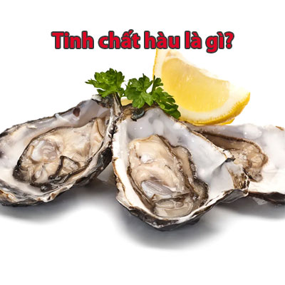 Tinh Chất Hàu Là Gì? Công Dụng Của Tinh Chất Hàu Mà Bạn Nên Biết!