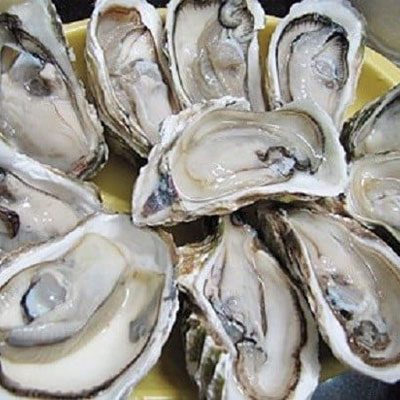 Ăn nhiều hàu có tốt không?