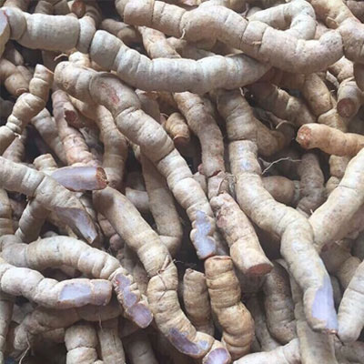 Ba kích giúp tăng cường sinh lý nam