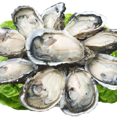 Cách sử dụng tinh chất hàu tươi Orihiro