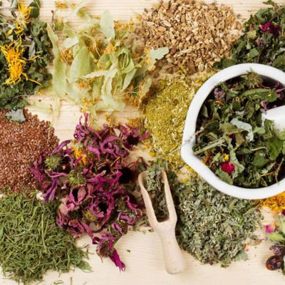 Một số lưu ý khi sử dụng những cây thuốc nam trị yếu sinh lý