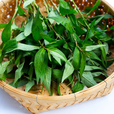 Một số thực phẩm làm giảm sinh lý đàn ông tác động xấu đến sức khỏe