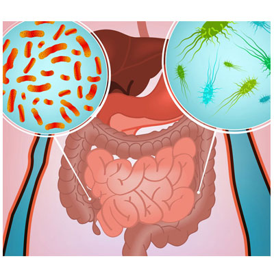 Nguyên nhân dẫn đến dối loạn tiêu hóa