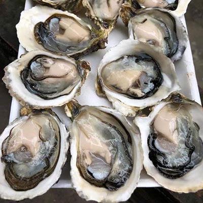 Những điều cần lưu ý khi ăn hàu