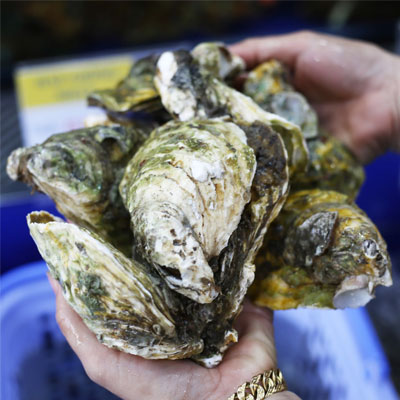 Những lưu ý khi sử dụng tinh chất hàu Orihiro nhật bản