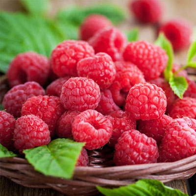 Quả mâm xôi chứa rất nhiều dưỡng chất tốt cho cơ thể