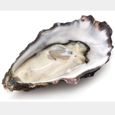 Tinh chất hàu là gì?