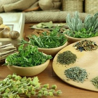 Top 10+ những cây thuốc nam chữa yếu sinh lý