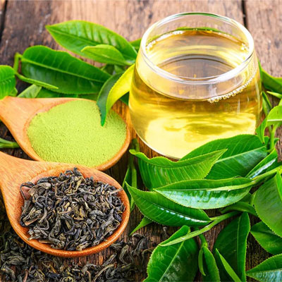 Trà xanh chứa polyphenol và catechin hỗ trợ bảo vệ sức khỏe tim mạch