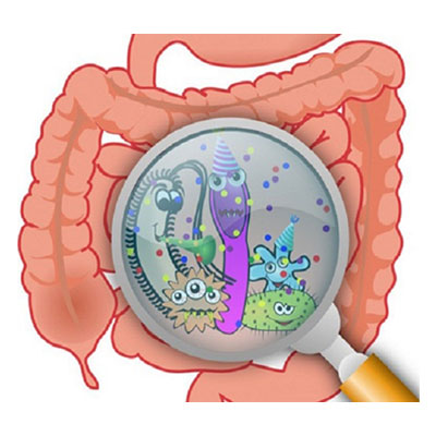 Triêu chứng, dấu hiệu rối loạn tiêu hóa