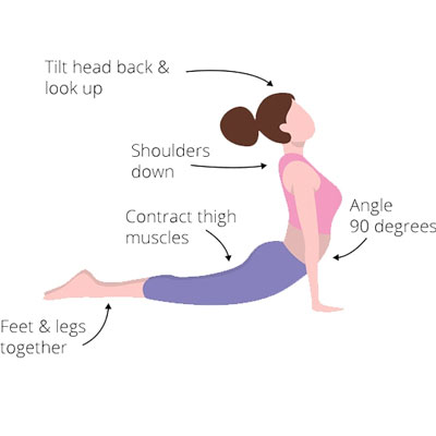 Tư thế rắn hổ mang