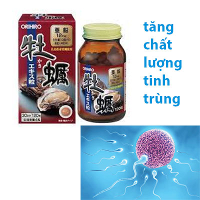 Uống tinh chất hàu tác động thế nào tới sức khỏe sinh sản?