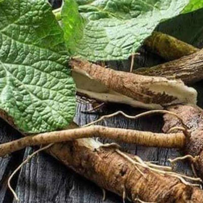 Ưu điểm khi sử dụng những cây thuốc nam chữa yếu sinh lý