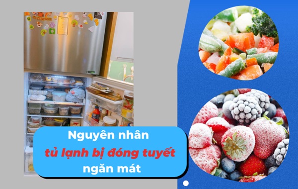 Ngăn mát tủ lạnh bị đóng đá