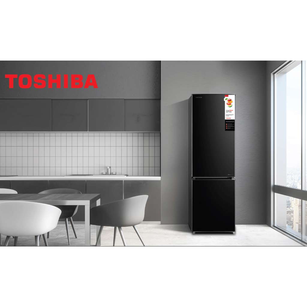 Tủ lạnh Toshiba Inverter 270 lít GR-RB350WE-PMV(30)-BS