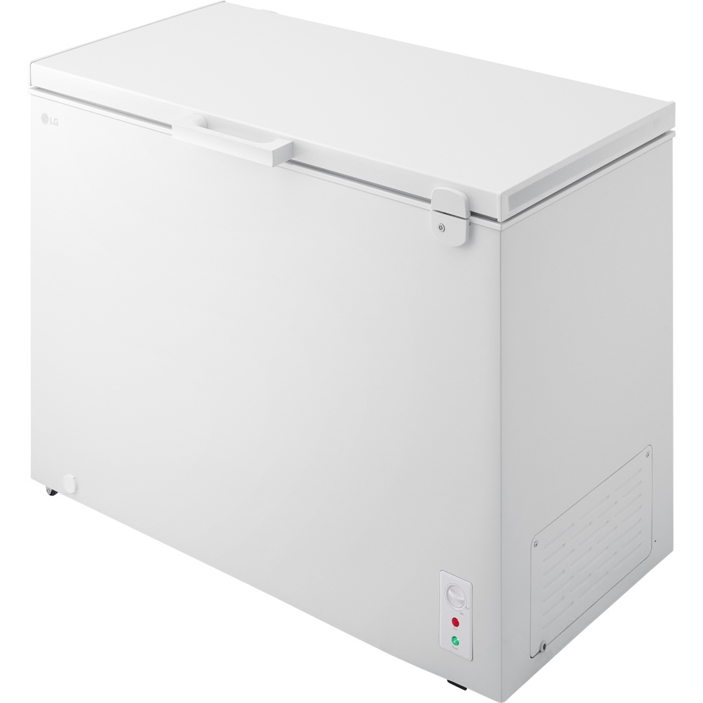 Tủ đông LG Inverter 291 lít C30WH