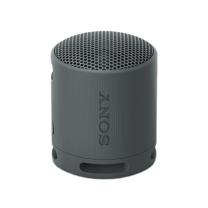 Loa Bluetooth di động Sony SRS-XB100/BCE - Màu đen
