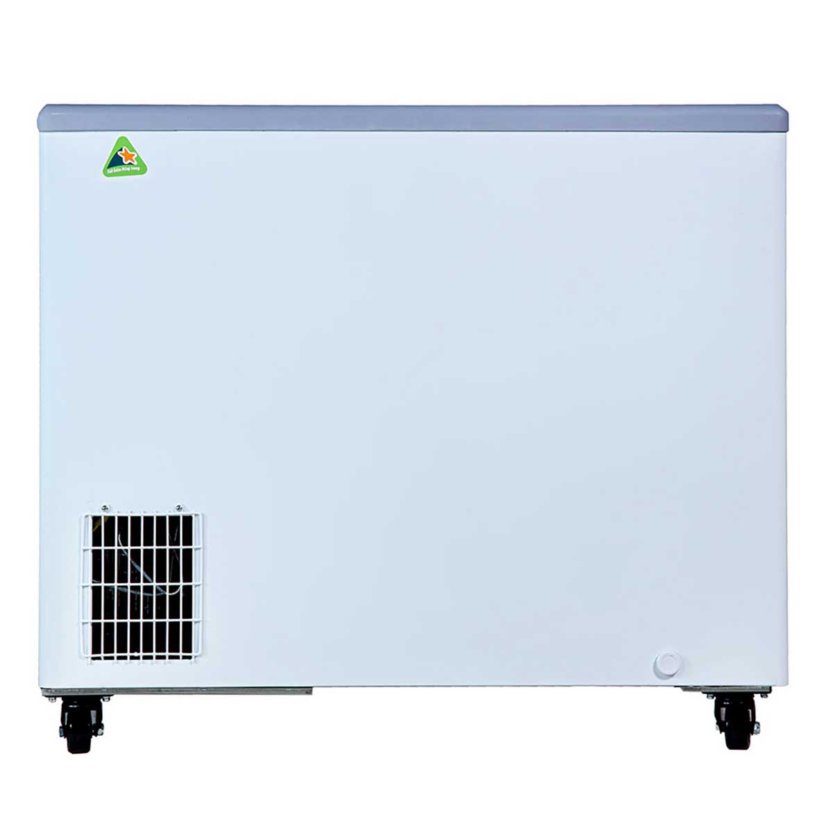 Tủ đông Alaska KC-210C 210 lít