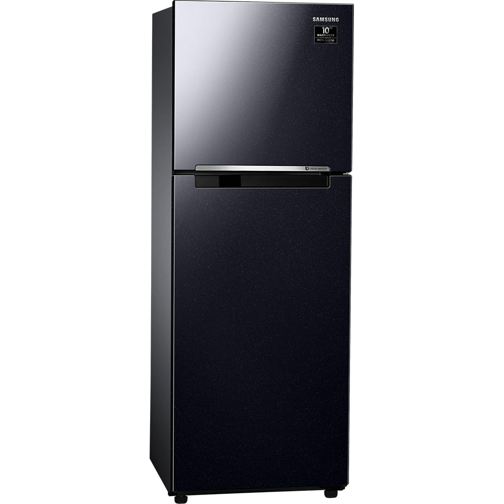Tủ lạnh Samsung Inverter 236 lít RT22M4032BU/SV