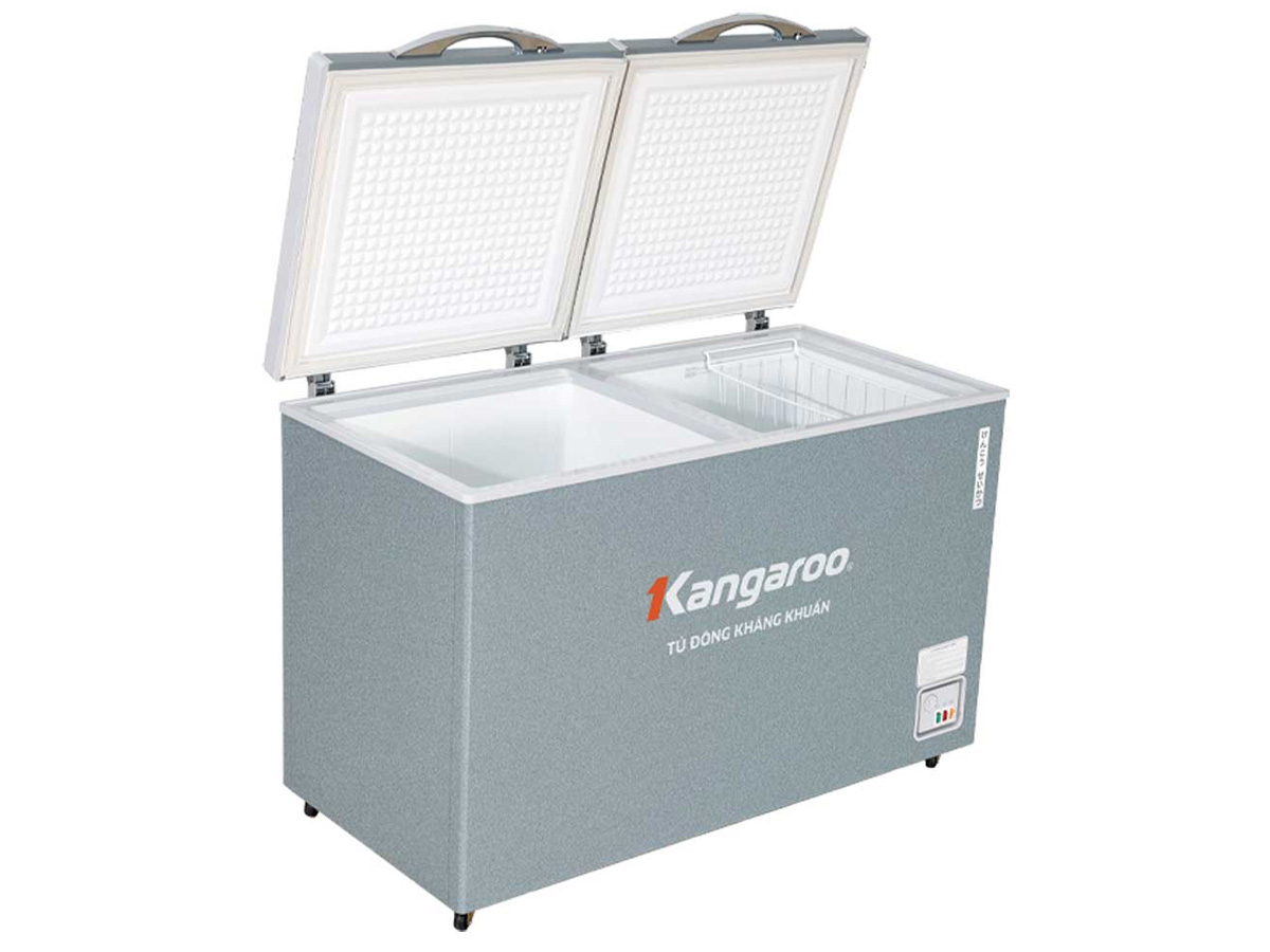 Tủ đông kháng khuẩn 327 lít KGFZ389NG2