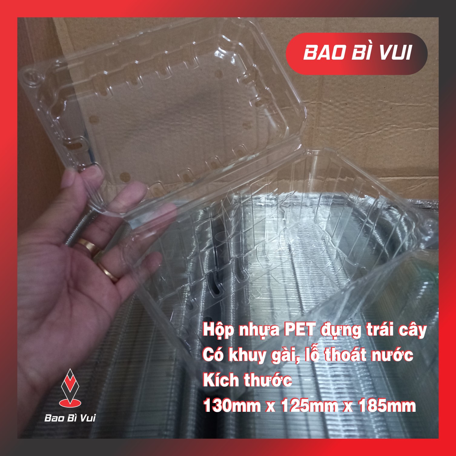 HỘP NHỰA ĐỰNG 1 KG TRÁI CÂY CÓ LỖ THÔNG KHÍ