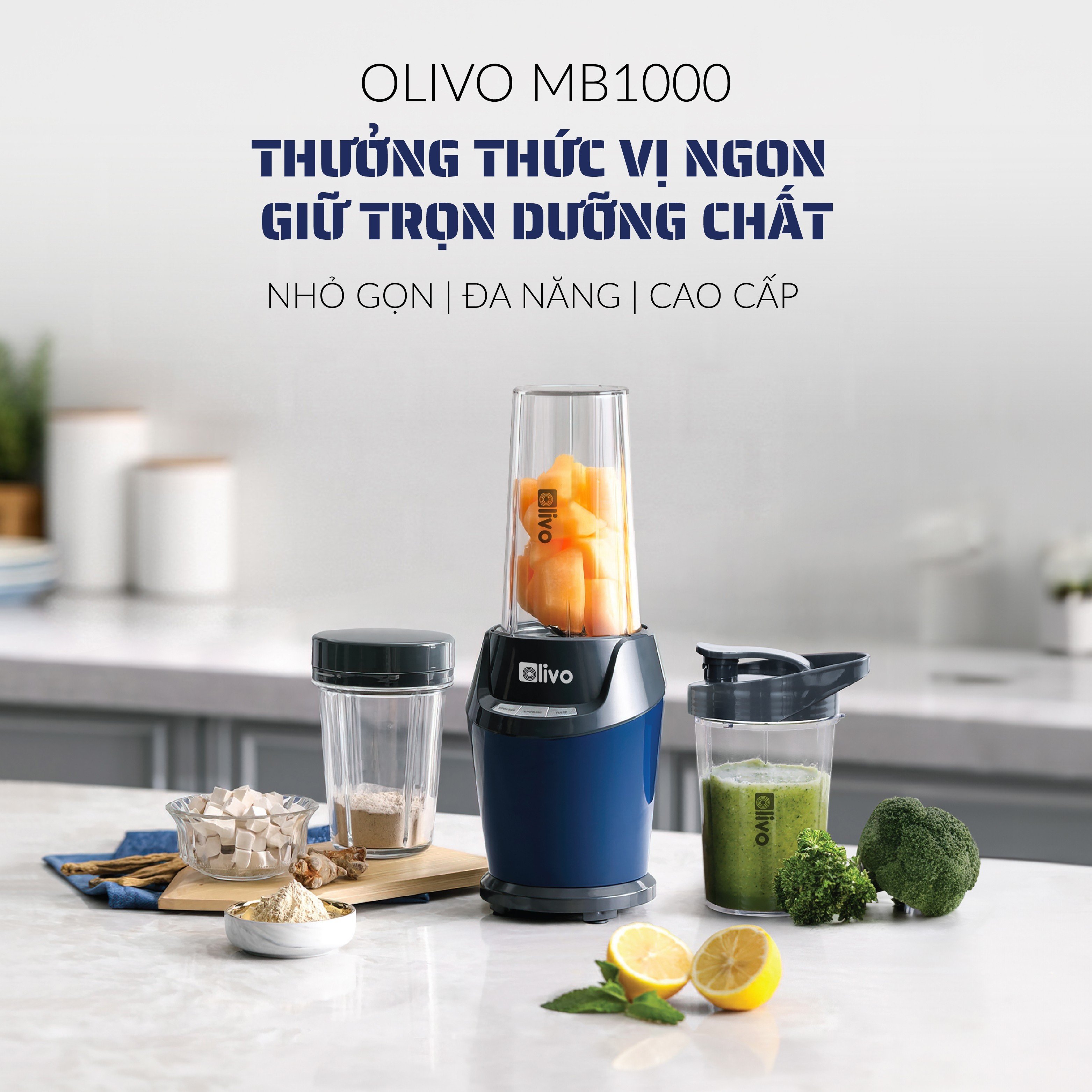 Máy xay sinh tố OLIVO MB1000