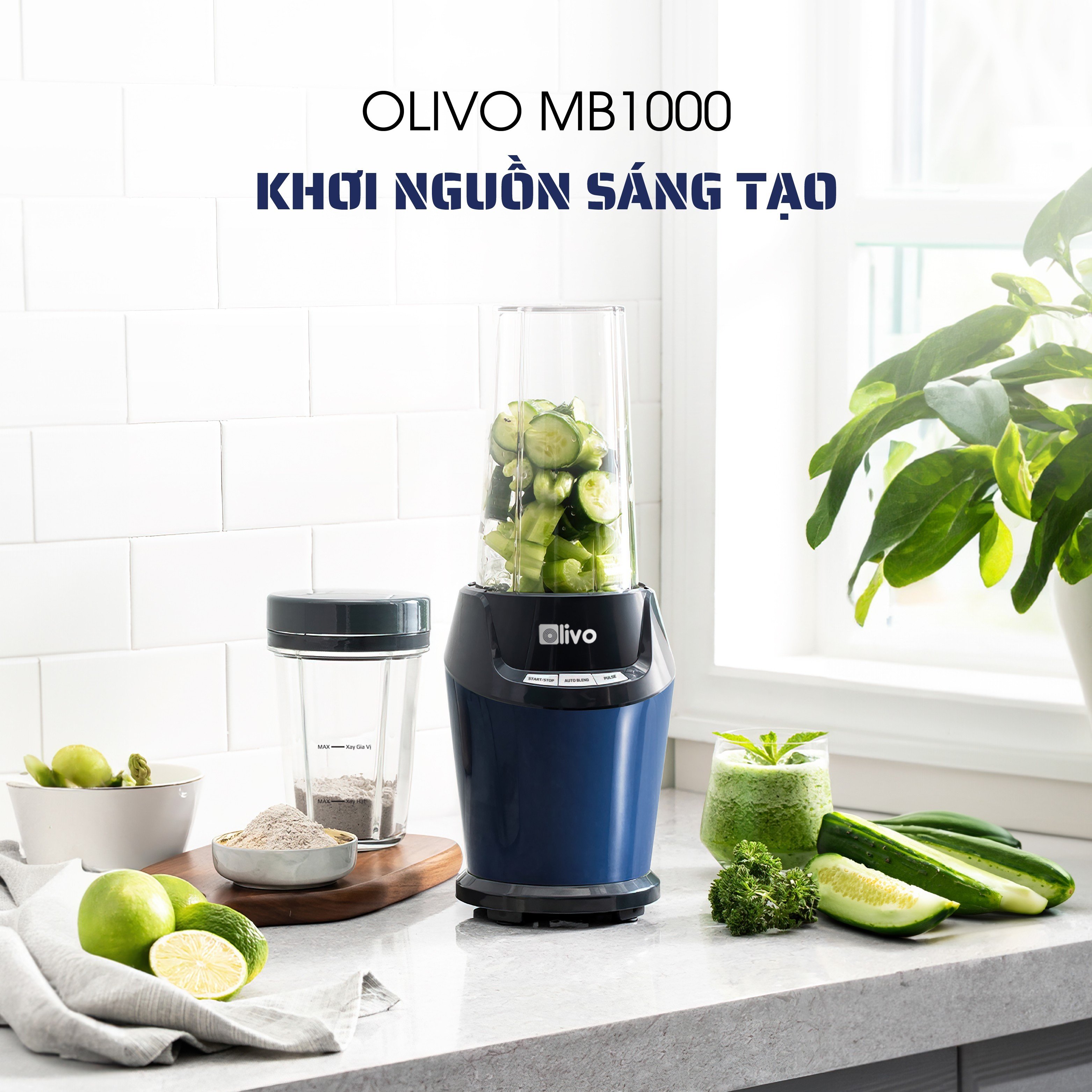 Máy xay sinh tố OLIVO MB1000