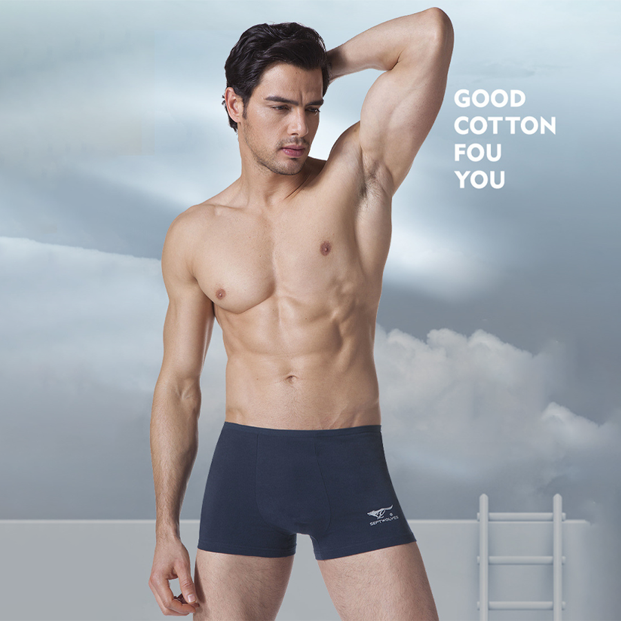 Set 4 quần boxer nam kháng khuẩn Septwolves D3315 cao cấp